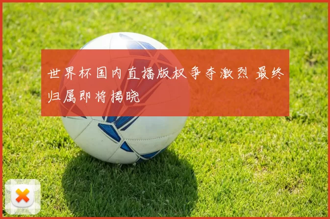 世界杯国内直播版权争夺激烈 最终归属即将揭晓