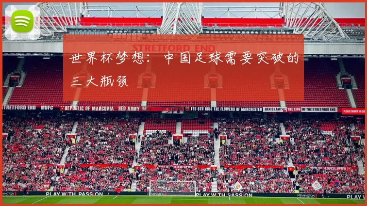 世界杯梦想:中国足球需要突破的三大瓶颈