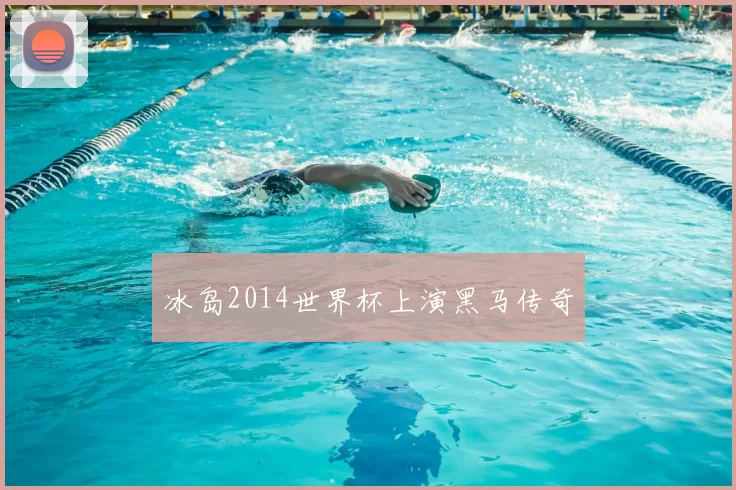 冰岛2014世界杯上演黑马传奇