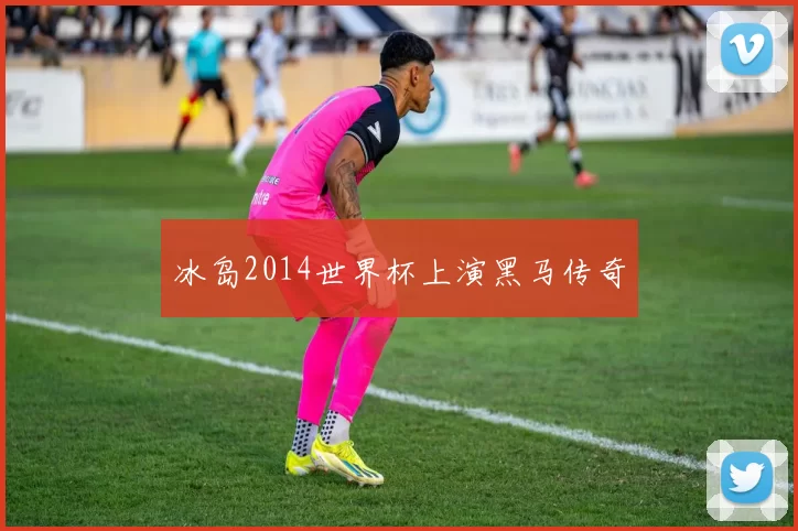 冰岛2014世界杯上演黑马传奇