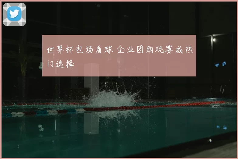 世界杯包场看球 企业团购观赛成热门选择