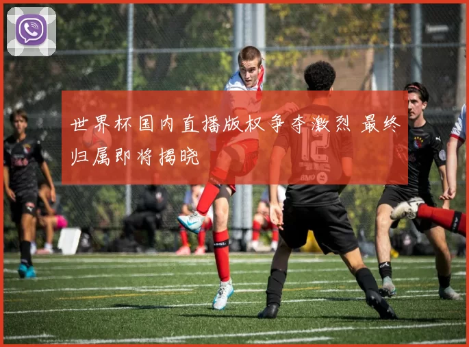 世界杯国内直播版权争夺激烈 最终归属即将揭晓