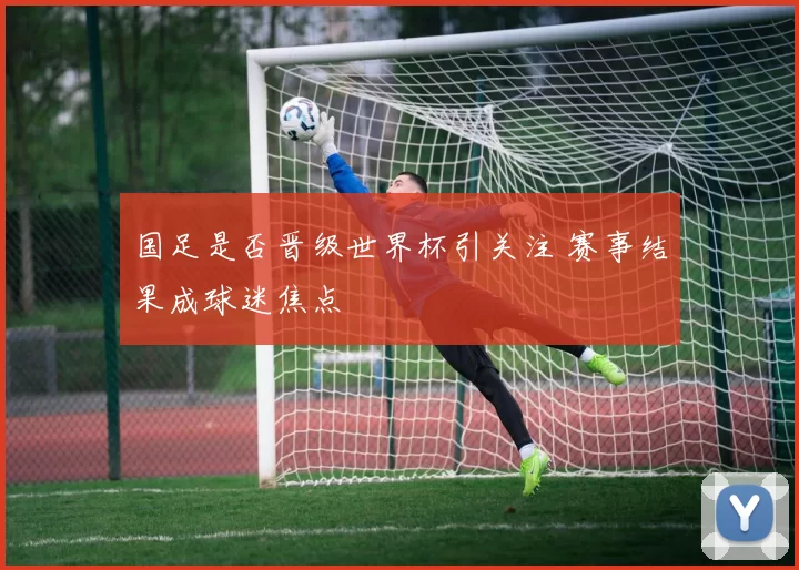 国足是否晋级世界杯引关注 赛事结果成球迷焦点