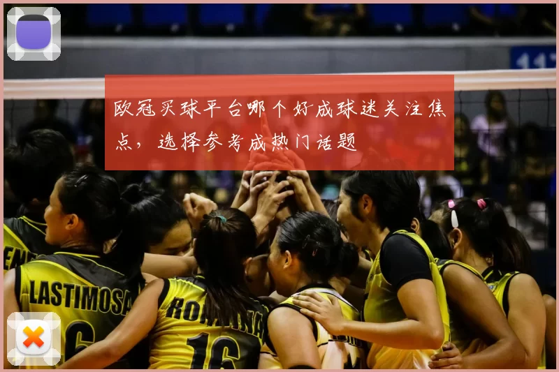 欧冠买球平台哪个好成球迷关注焦点,选择参考成热门话题
