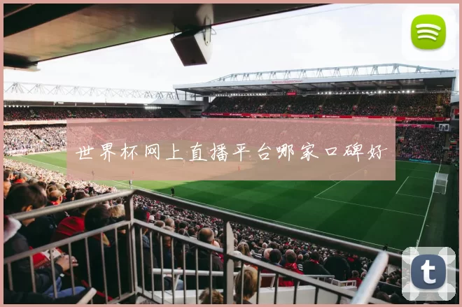 世界杯网上直播平台哪家口碑好
