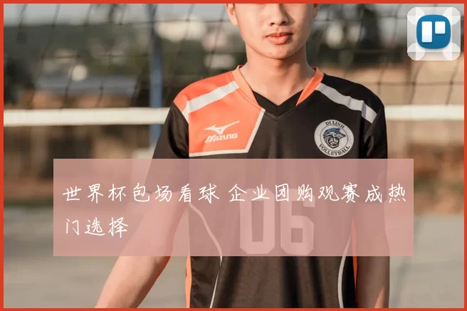 世界杯包场看球 企业团购观赛成热门选择