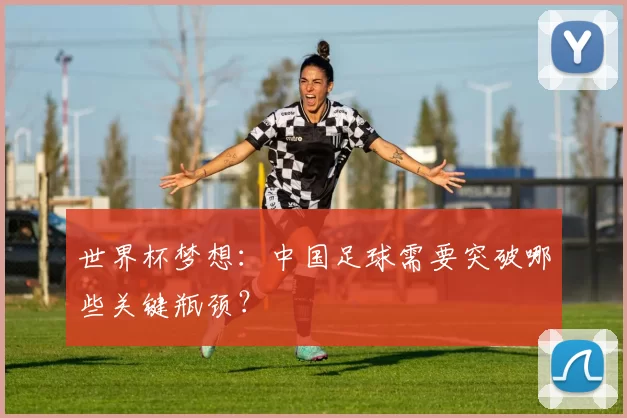 世界杯梦想：中国足球需要突破哪些关键瓶颈？