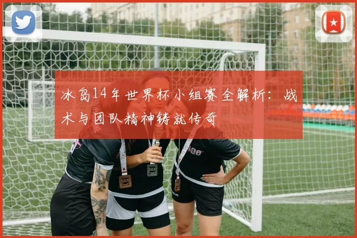 冰岛14年世界杯小组赛全解析：战术与团队精神铸就传奇